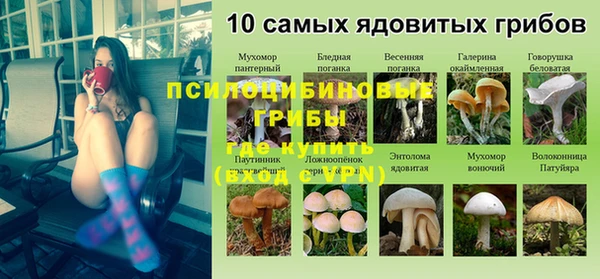 дурь Богданович