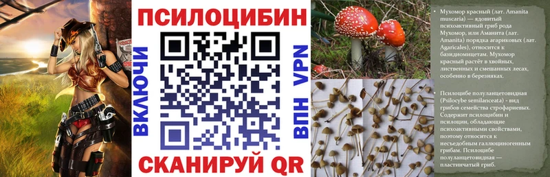 Псилоцибиновые грибы мицелий  Новоузенск 