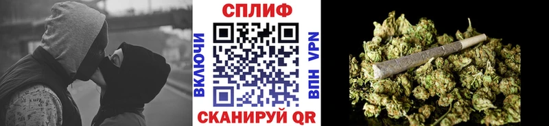 Каннабис план  Новоузенск 